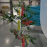 画像1639
