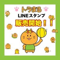 画像2533