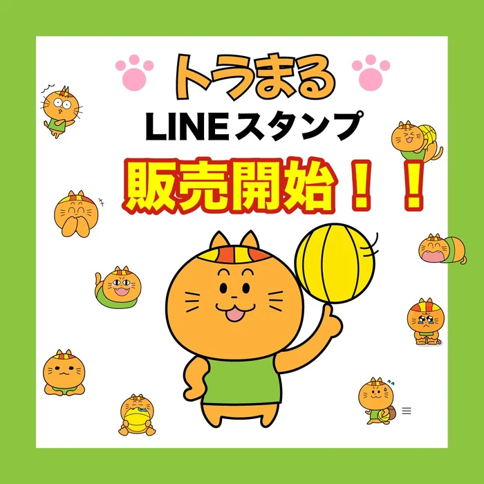 画像2533