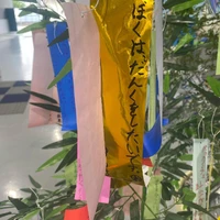 画像509